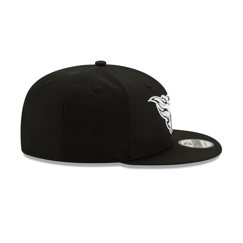 Tennessee Titans Basic Black & White 9FIFTY Snapback Hat